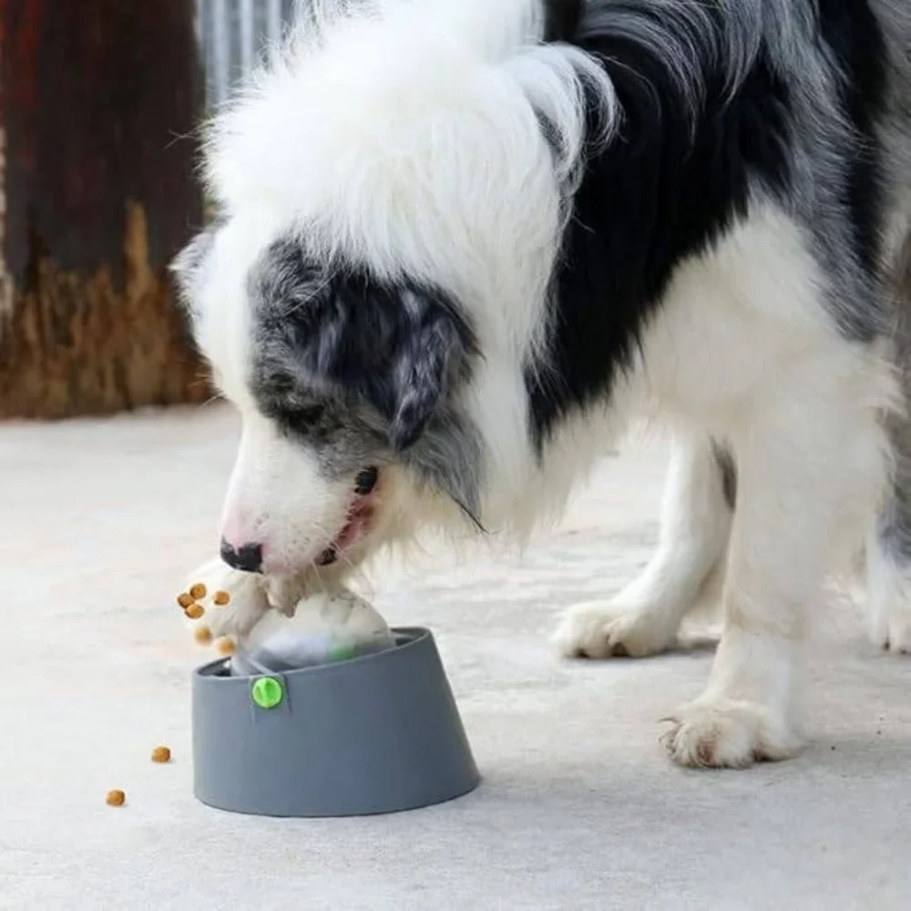 Multi-Purpose Dog Feeder 3 in 1 IQ Training Slow Feeding w/ Treat Ball, Lick Mat